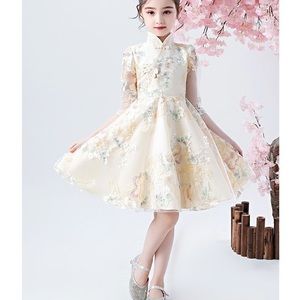 Girls dress 3-5 years old 99%new